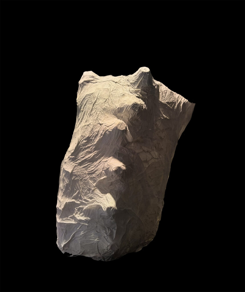 Bustes féminin avec du papier mâché, série