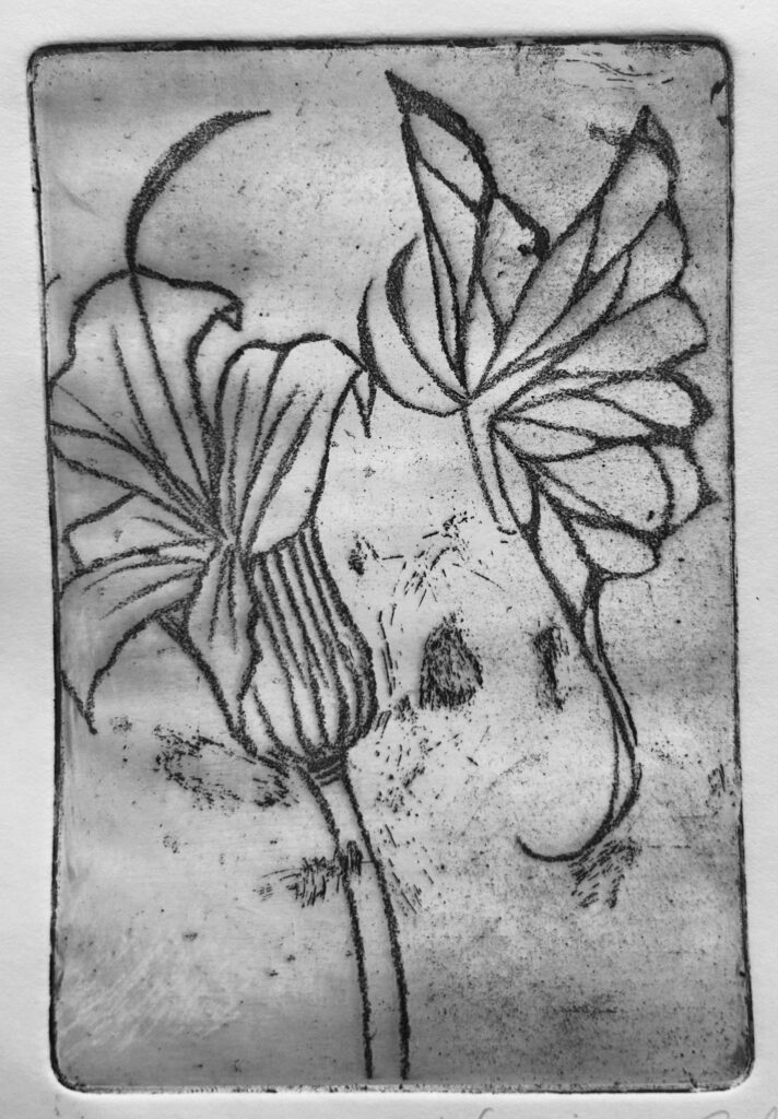 Impressions sur gravure de vernie mou, avec une fleur de lys et un papillon, utilisation d'encre